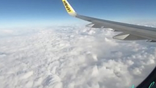 Public Airplane Suck off